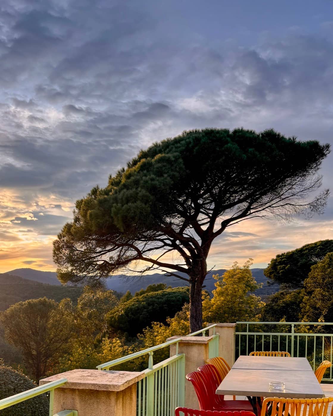 Kadr o zachodzie słońca